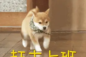 大到暴雨！临时关闭！返程请注意！图片
