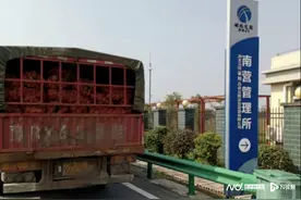 紫薯非红薯，大货车下襄阳高速被收九百元，鲜活农产品咋界定图片