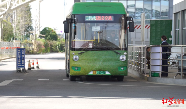崇州30万亩油菜花盛放，坐城际动车即可前往，打卡攻略新鲜出炉！