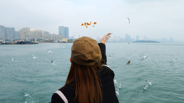 从白翼精灵到航海史诗！青岛秋冬限定浪漫一起来get吧~