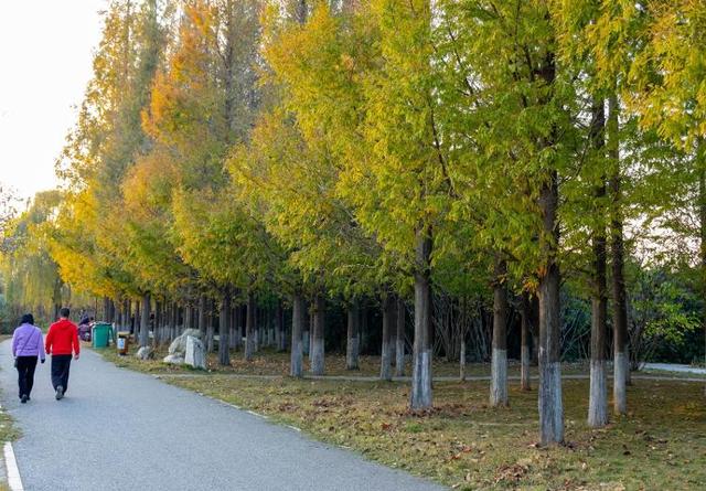 藏在乳山各处的温柔｜这些公园，让心情慢下来