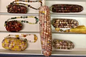 万物皆可“盘”！“文玩玉米”成年轻人“新宠”图片