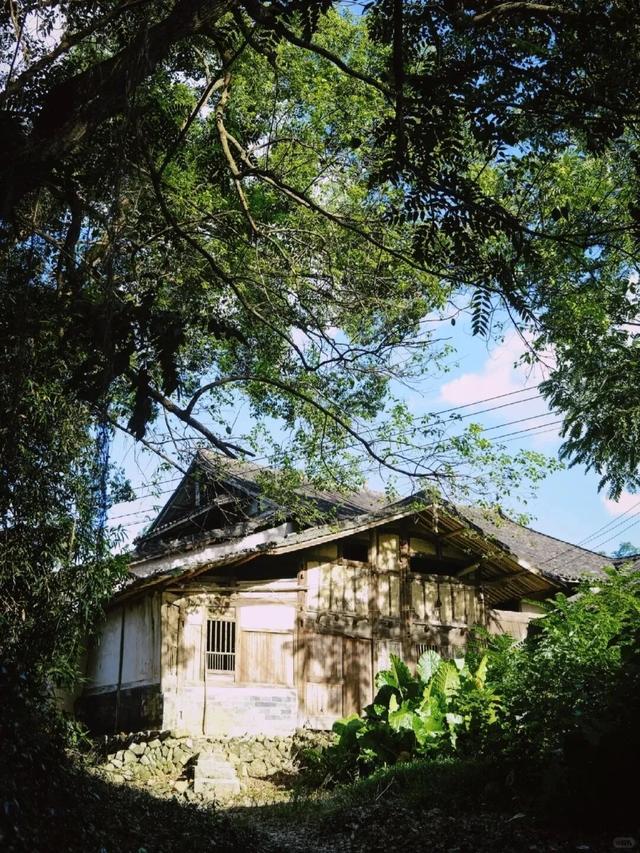 别再说福安没地方玩！会玩的人都去这座小镇“踏溜”了！