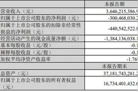 科大讯飞今年一季度盈利锐减 净亏损同比扩大418%图片