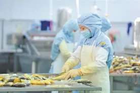 吃透一只鱼 做深一条链图片