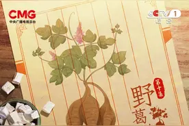 葛根以何“超能力”与中华民族相伴万年图片