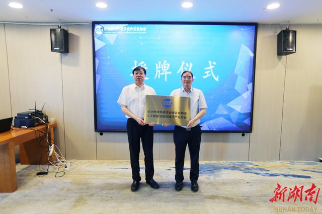 AI 赋能低空，聚势长沙、扬帆出海