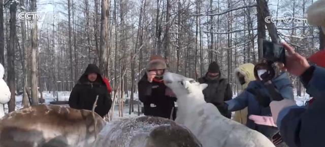“冰雪+民俗+美食”助推冬游“火”出新高度 冬日文旅新场景激活消费新引擎