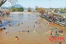 河源东源：700名村民下塘捕鱼 红红火火过大年图片