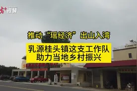 推动“瑶经济”出山入湾，乳源桂头镇这支工作队助力当地乡村振兴图片