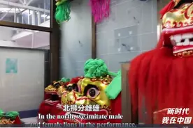 新时代，我在中国丨狮舞缘！越南留学生感受徐水舞狮魅力图片