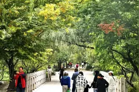 北京：西山脚下赏秋色图片
