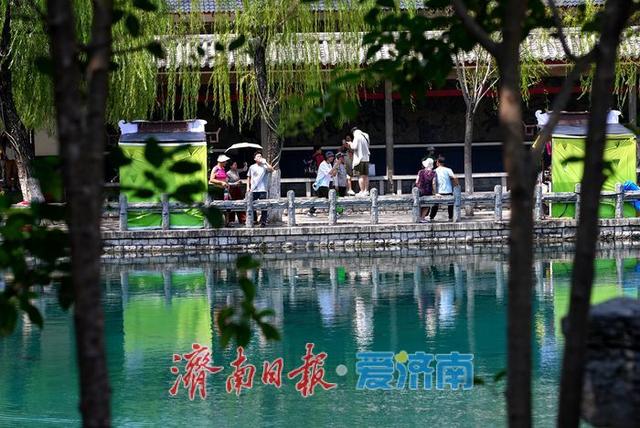 一年四季 泉在济南丨泉涌潺潺迎处暑 五龙潭畔游人乐