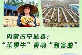 乡村振兴在行动丨内蒙古宁城县：“菜果牛”奏响“致富曲”图片