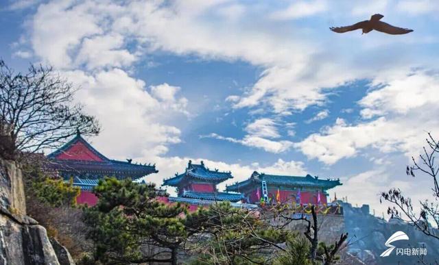 组图丨岱宗初冬暖光漫 红果松影醉游人