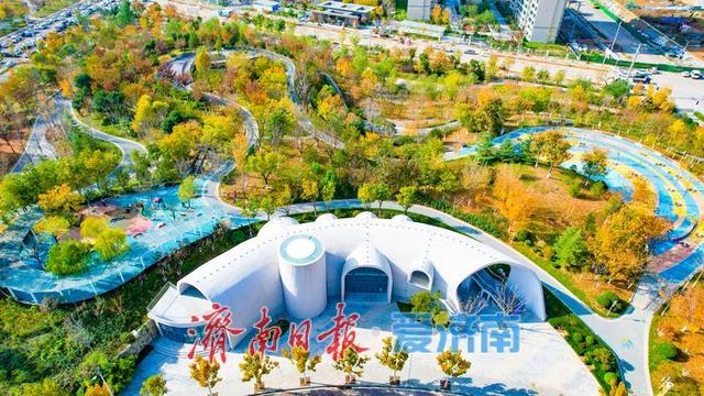 一年四季 泉在济南丨落叶铺锦景如画 济南望岳康体公园初冬限定美景上线