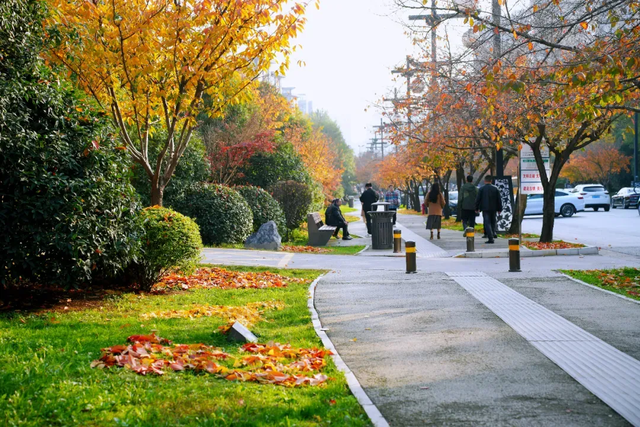 落叶缓扫，在曲江邂逅一场初冬浪漫！