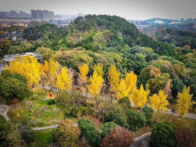 11月，是时候来一趟徐州了