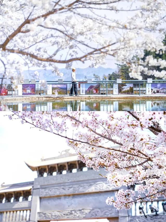 潭溪山免票活动再加码！@全国女性，三八免票福利来啦！