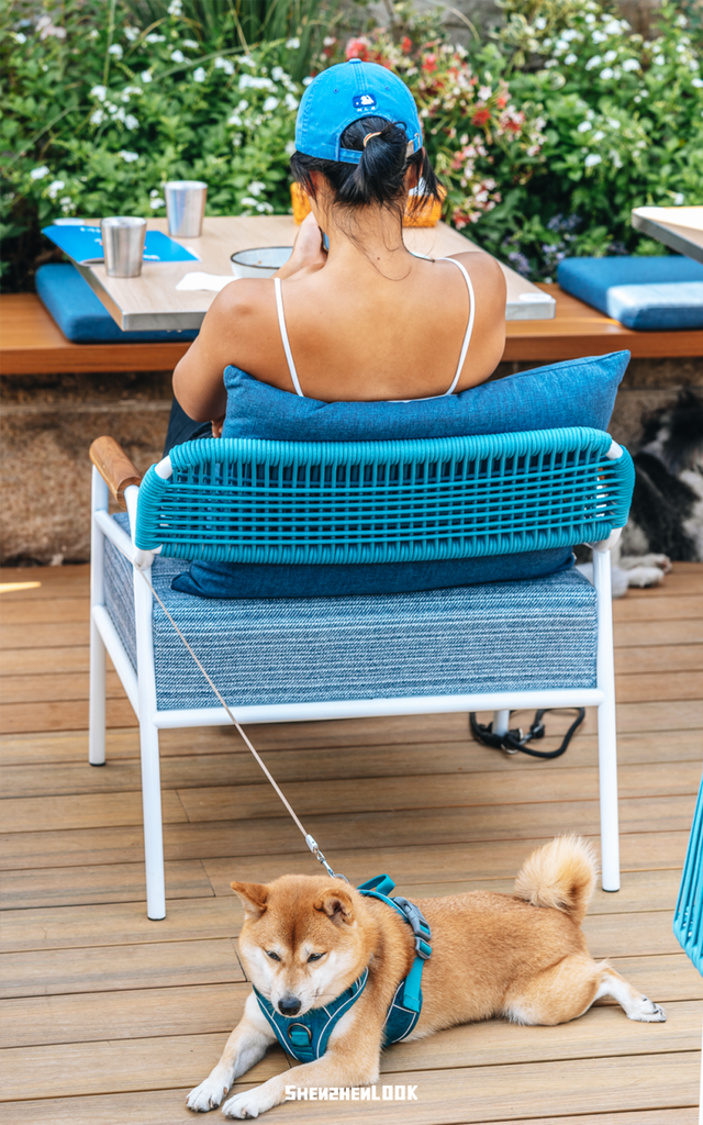 “这可能是深圳最热闹的周末，攻略准备好了”