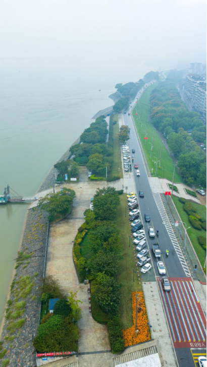 荆州：湿地焕生机 岸线展新颜