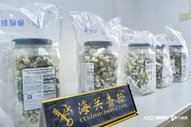 江门海关查获新型毒品“致幻蘑菇”！食用后会产生强烈幻觉图片