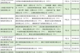 多地建立低空国资平台，在下怎样一盘棋？图片