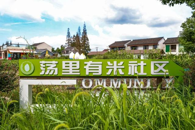 国庆松江，精彩不断丨松江这家“村咖”火了，工作日都一位难求！不仅如此，村里还有好吃、好玩、好住处