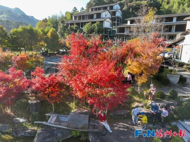 颜值巅峰！福州这个宝藏村落，正上演年度色彩盛宴！