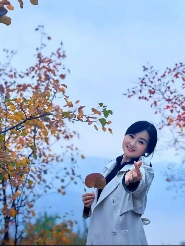 荆紫仙山红叶已进入最佳观赏期！