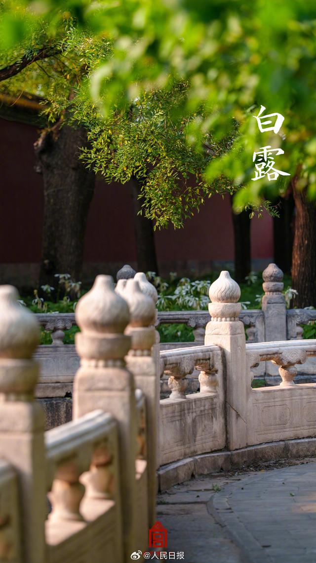 转存收藏！故宫节气图张张都是壁纸