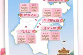春日武汉，下周是樱花的主场！受寒潮打扰，花儿或比往年小图片