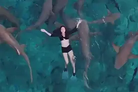 事发热门旅游地！女歌手遭鲨鱼咬伤血流不止……图片