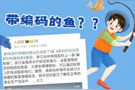 带编码的鱼+1+1+1……图片