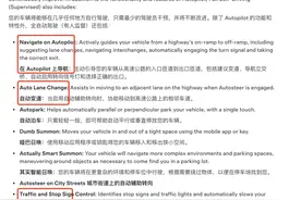 特斯拉在华发布FSD，智驾的「狼」，真的来了图片