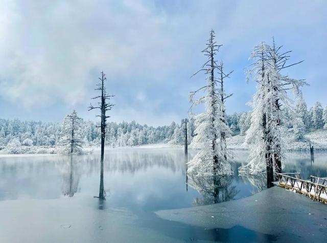 重磅！2025第八届瓦屋山冰雪嘉年华已经开启，即将解锁更多冬日新玩法！