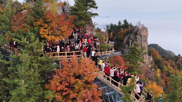 观“五花山”色 享生态康养｜伊春，藏不住了！“林都红”火爆出圈，景区人气爆棚！