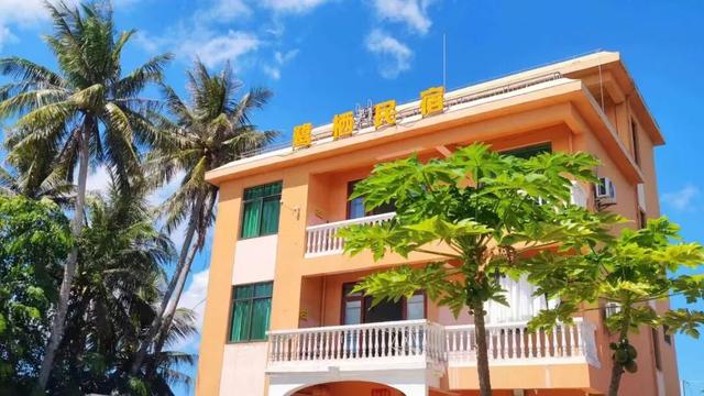 美兰观鸟 | 白领翡翠仍在北港岛，状态绝佳～