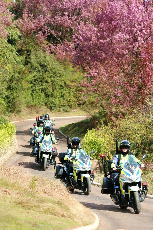 赶紧来玉溪！你就认得格“处得橙”、格“整得成”啦~