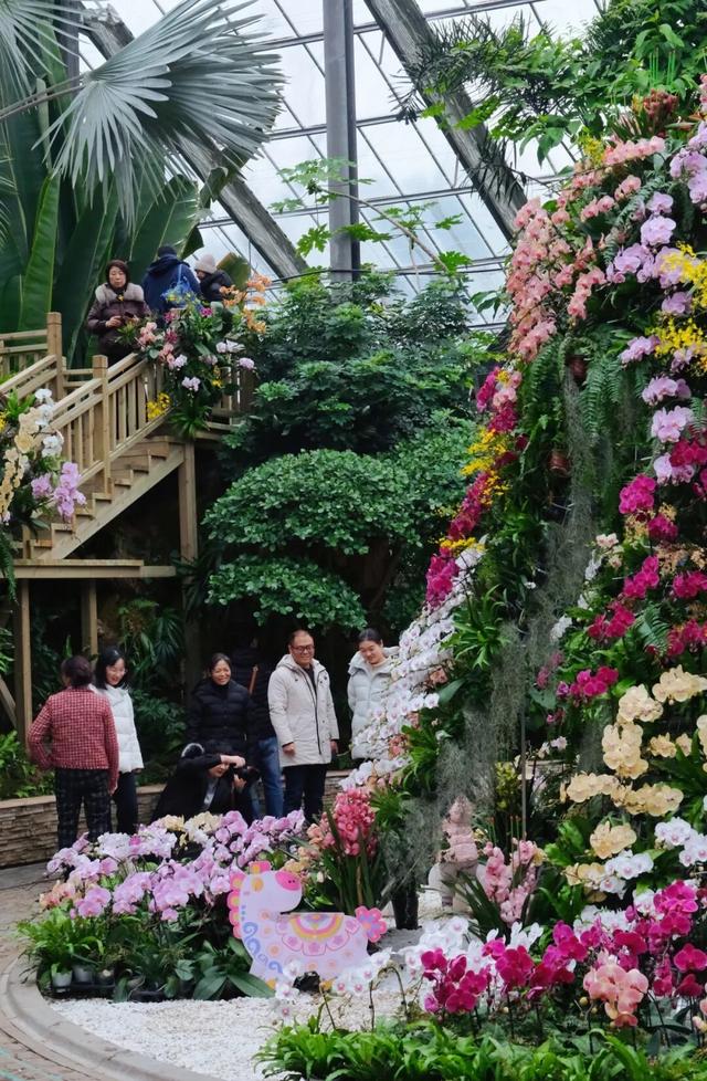 气温直冲20℃！第一波赏花的人已出发