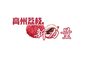 从看天吃饭到科技兴荔，咱凭人才鲜销四季|高州荔枝新力量①图片