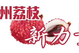 根子镇探索“古树+N”，文化魅力变市场潜力|高州荔枝新力量④图片