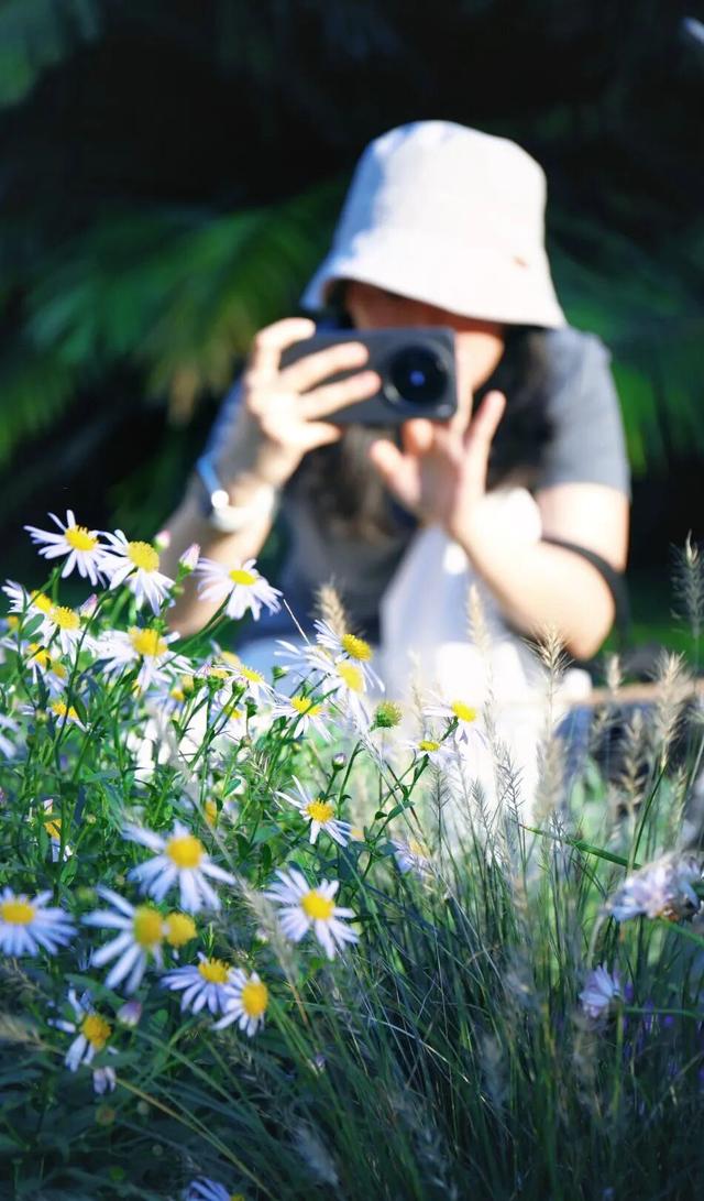 行摄 | 美爆了！秋日花海，限时上映