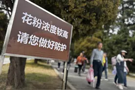 “逃离花粉季”的人：有人去海南“躺平”半个月，有人周末坐高铁去近郊图片