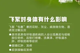 持续20天左右！济南发布2024年飘絮预报图片