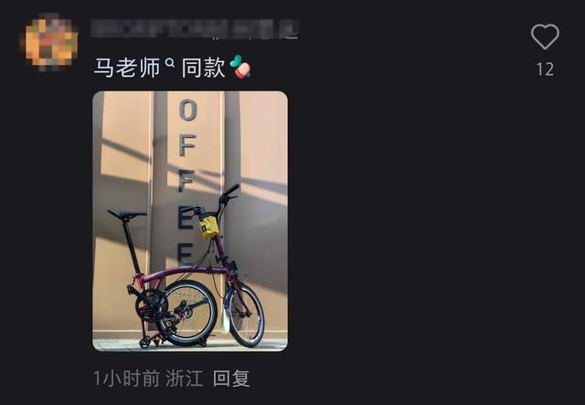 马云现身杭州西湖夜游骑行，网友晒同款折叠自行车，售价1.85万元