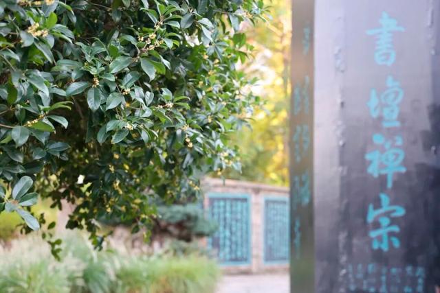 这声“对不起”，泰州人等了半个月！