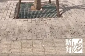 太恶心！街头这些不明粘液是啥？图片