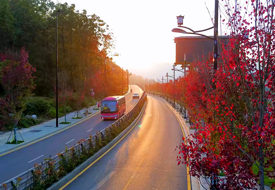 张家界武陵源：层林尽染秋意酣  赴约赏景正当时