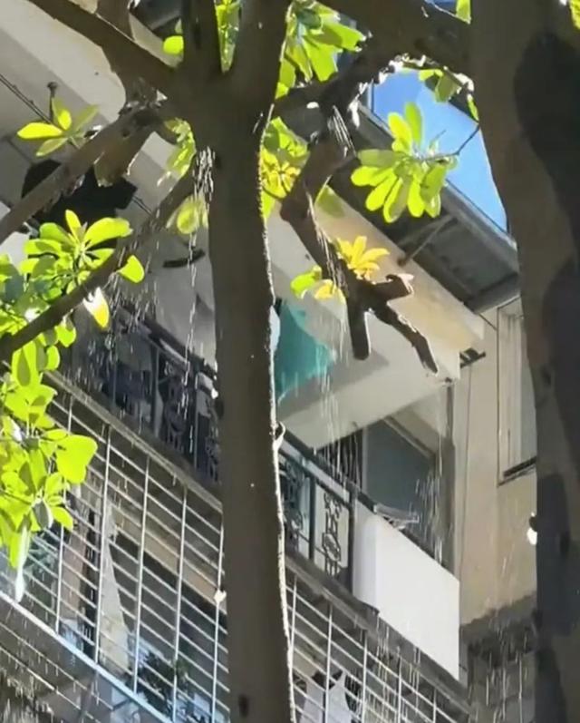 “被滋了一脸，还舔了舔……”近期很多人中招已崩溃！不是雨！不是空调水！专家提醒